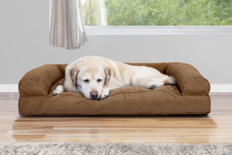 The References for Simple Dog Sofa Bed | manndababa