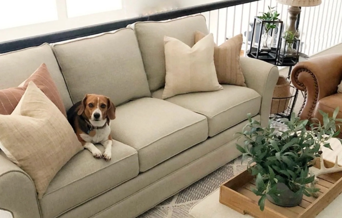 What Is the Best Kid- and Pet-Friendly Sofa?